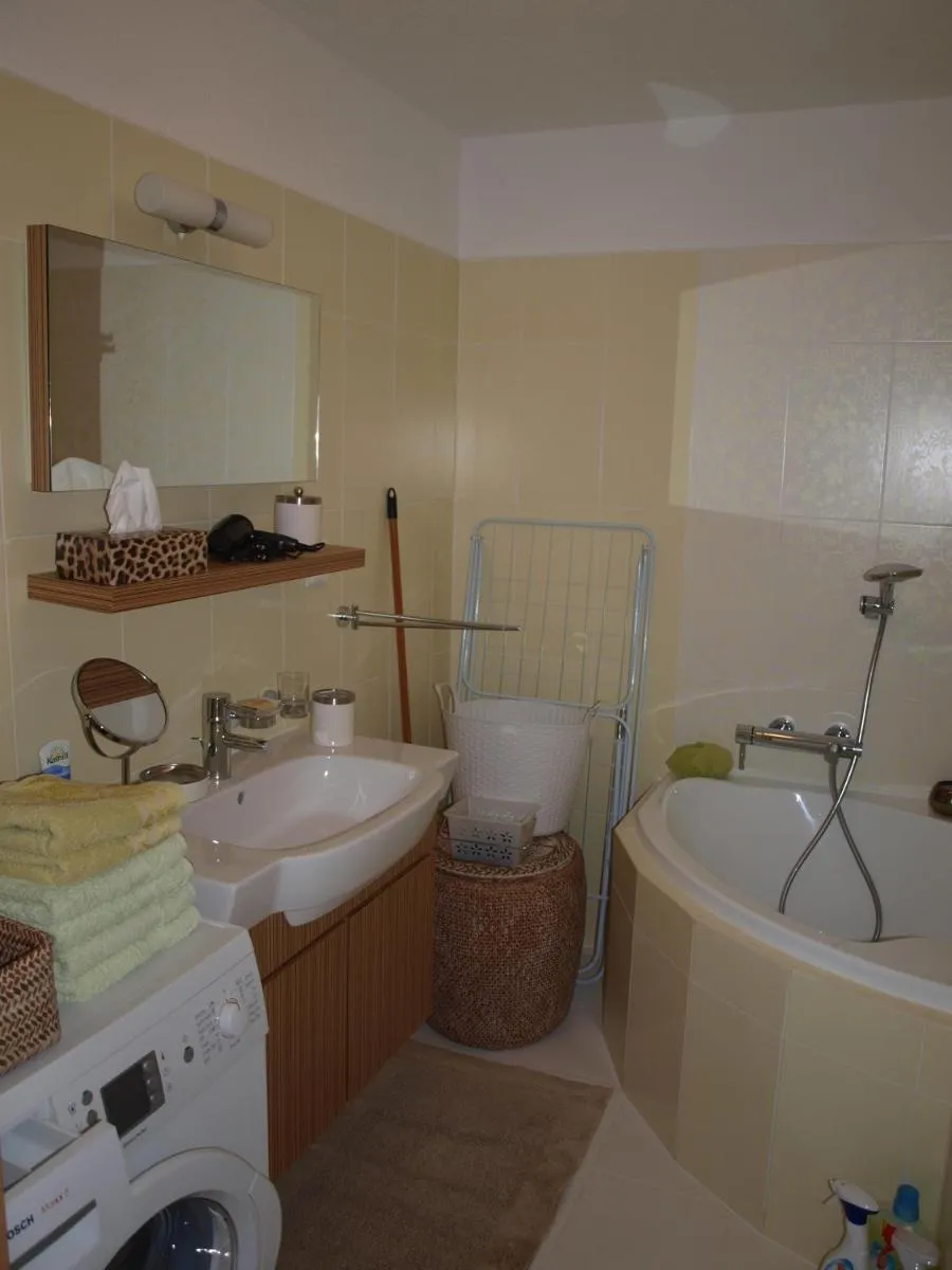 Apartmán Drahovice — 5