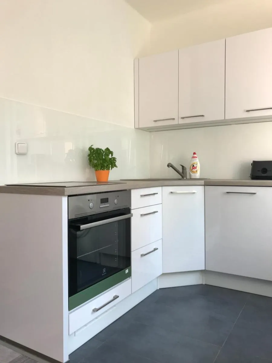 Apartmán Havlíčkova — 5