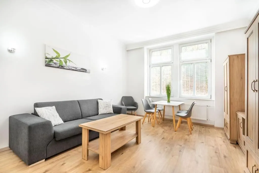 Apartment HOT SPRING — 4