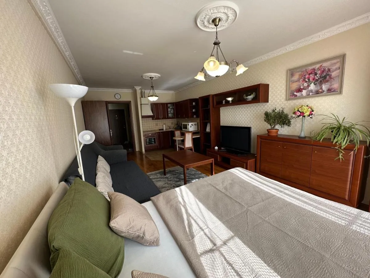 Apartment Julia in the center of Karlovy Vary — 5