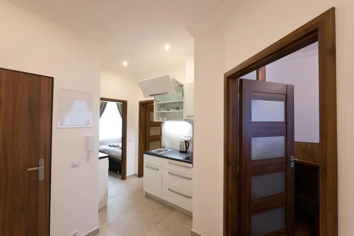 Apartment Karla Capka Street — 4