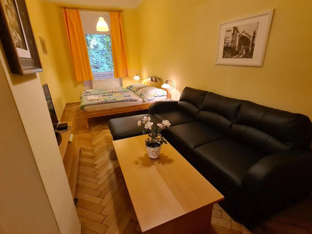 Apartment No. 12 Tržiště 29 — 2