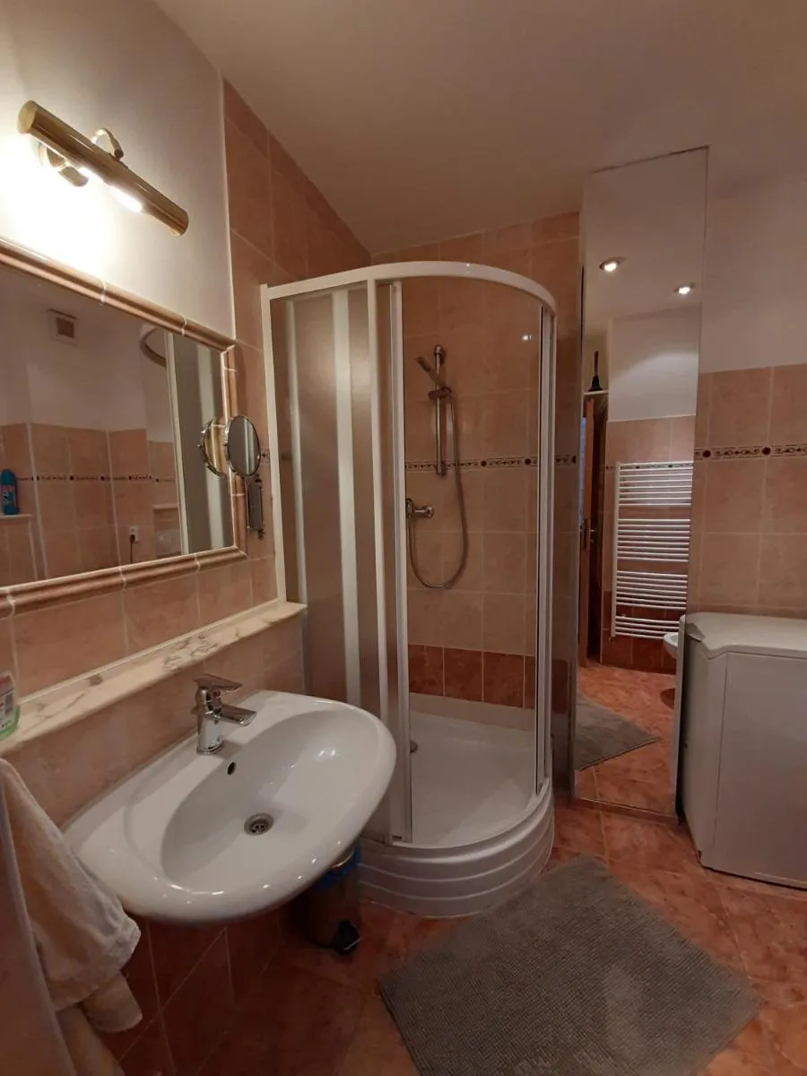 Apartment No. 2 Tržiště 29 — 4