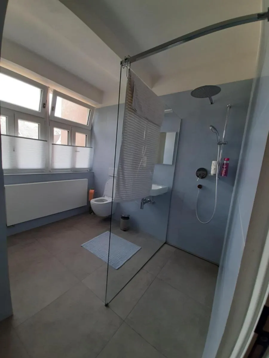 Apartment No 3 Poděbradská 7, Karlovy Vary — 3