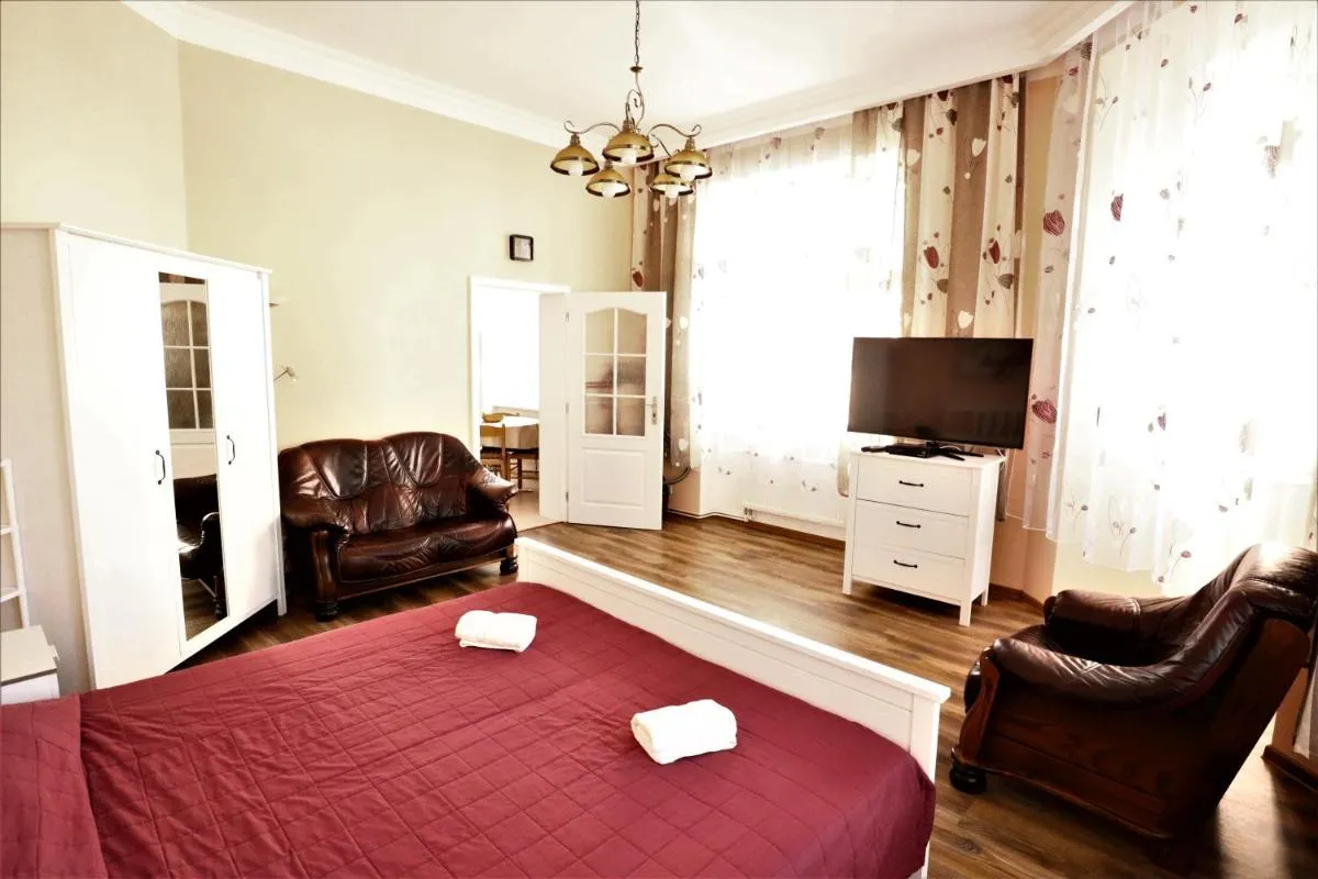 Apartment on Krale Jiriho 2 — 5