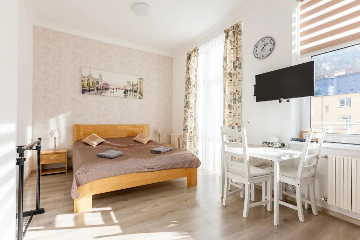 Apartment on Krymska — 4