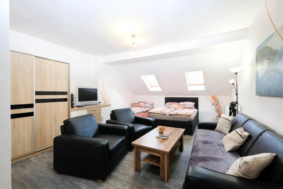 Apartments Alena – Karlovy Vary — 5