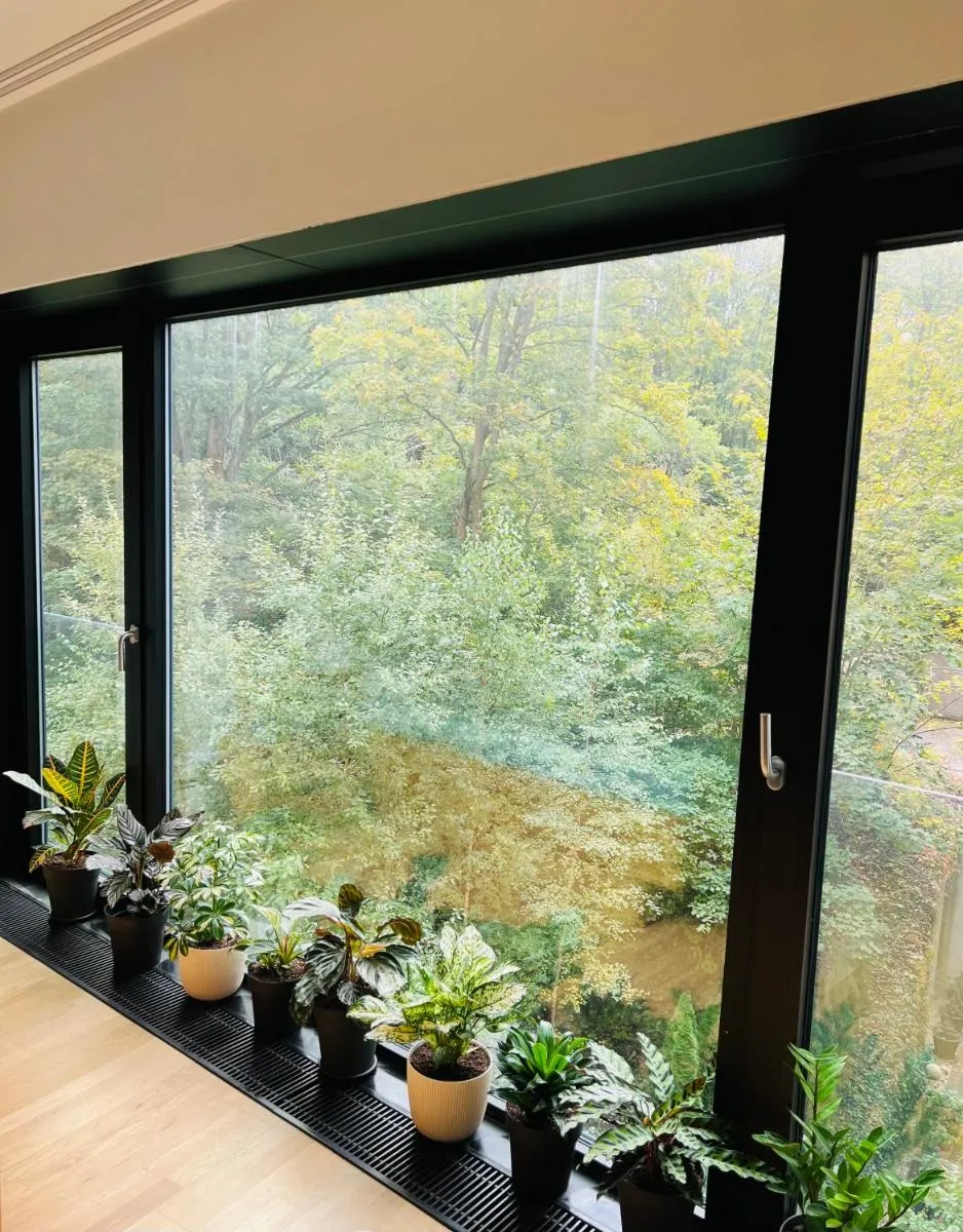 ArtFlora KV Premium — 4