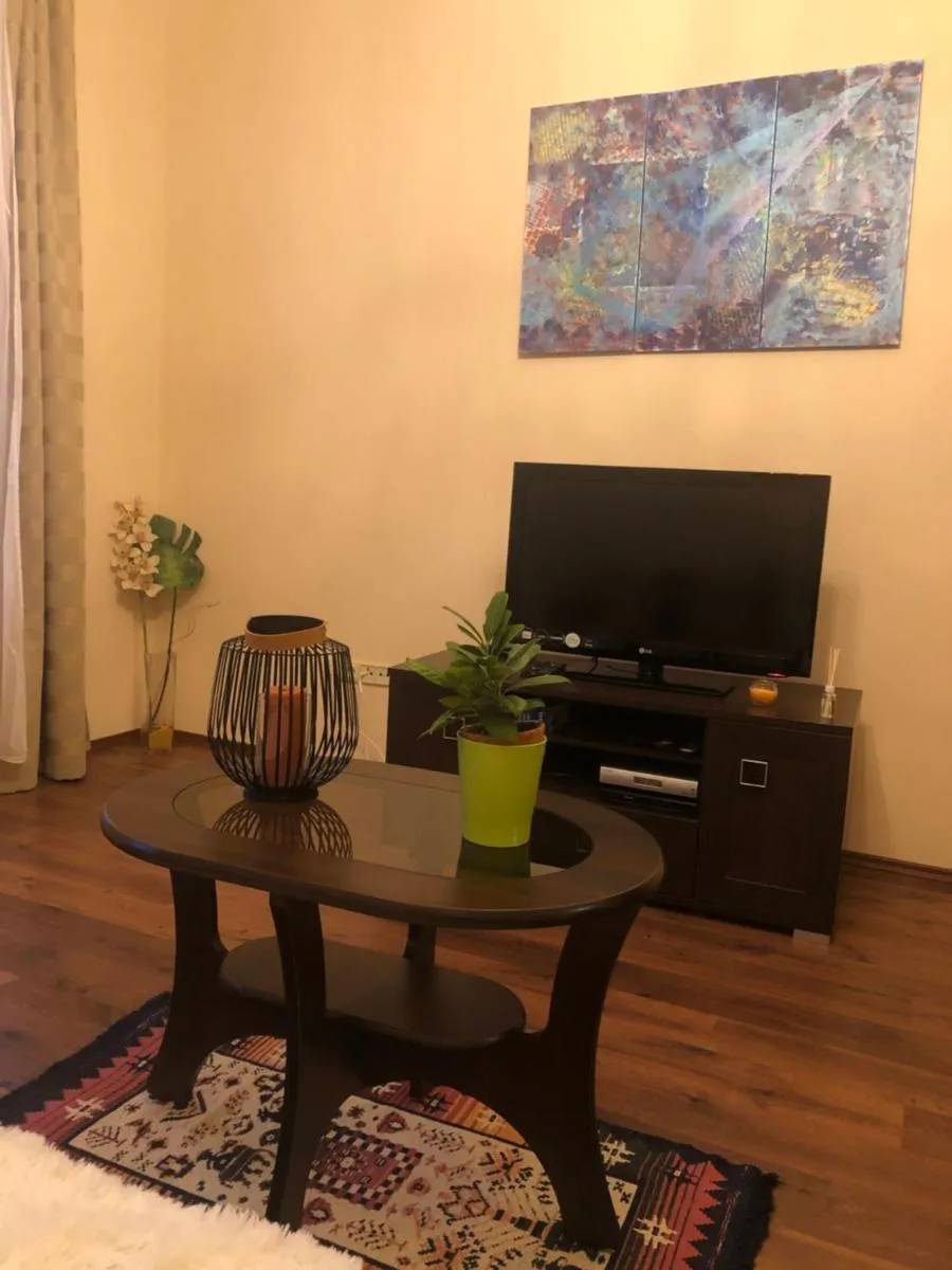 Byt s krásnou vyhlídkou na hotel Imperial — 5