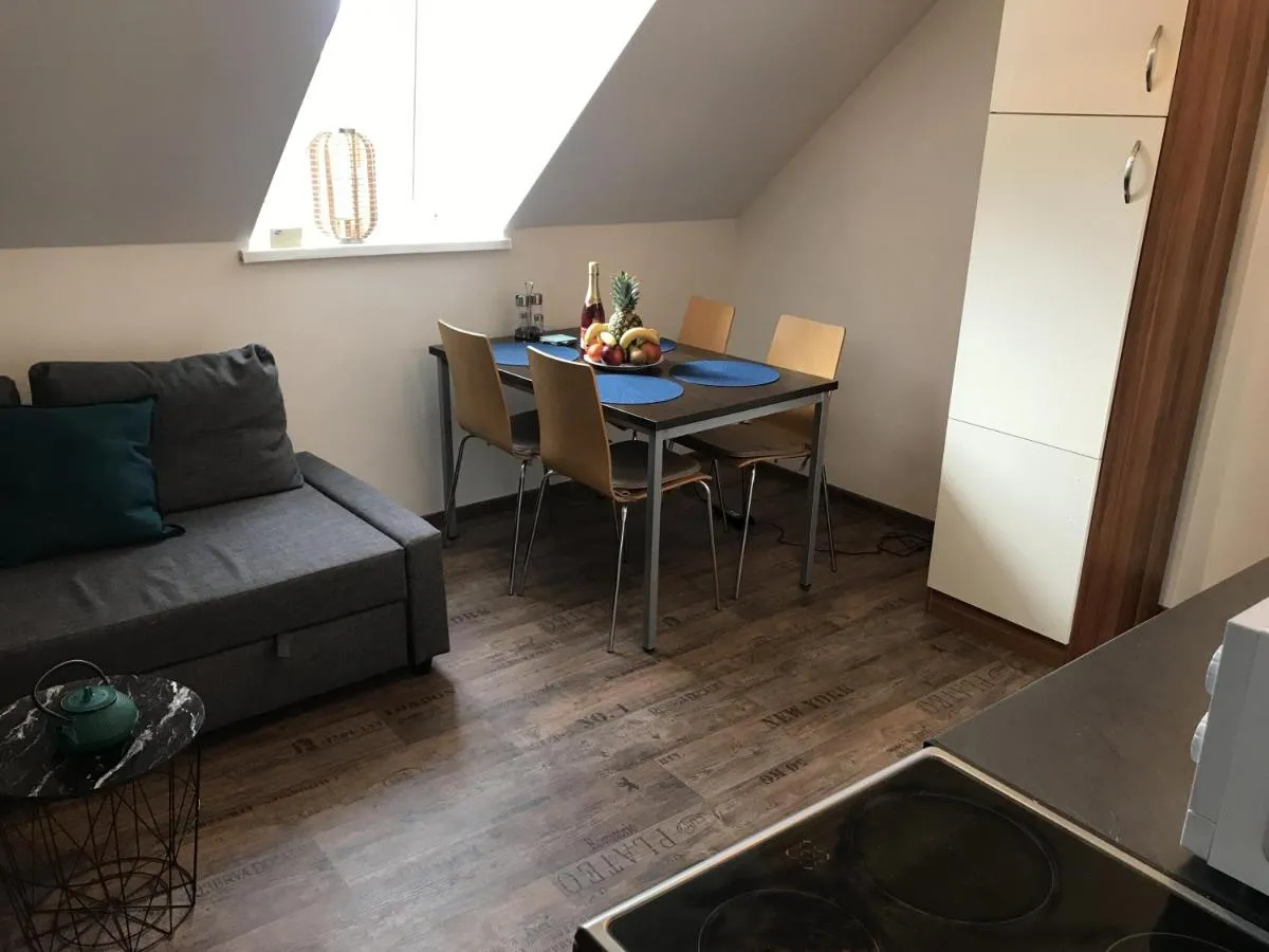 City Center-Spa-Historic building-Nice View — 4