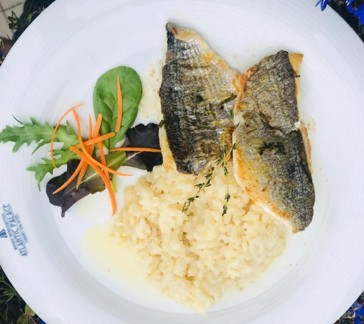 EA Hotel Atlantic Palace — 3