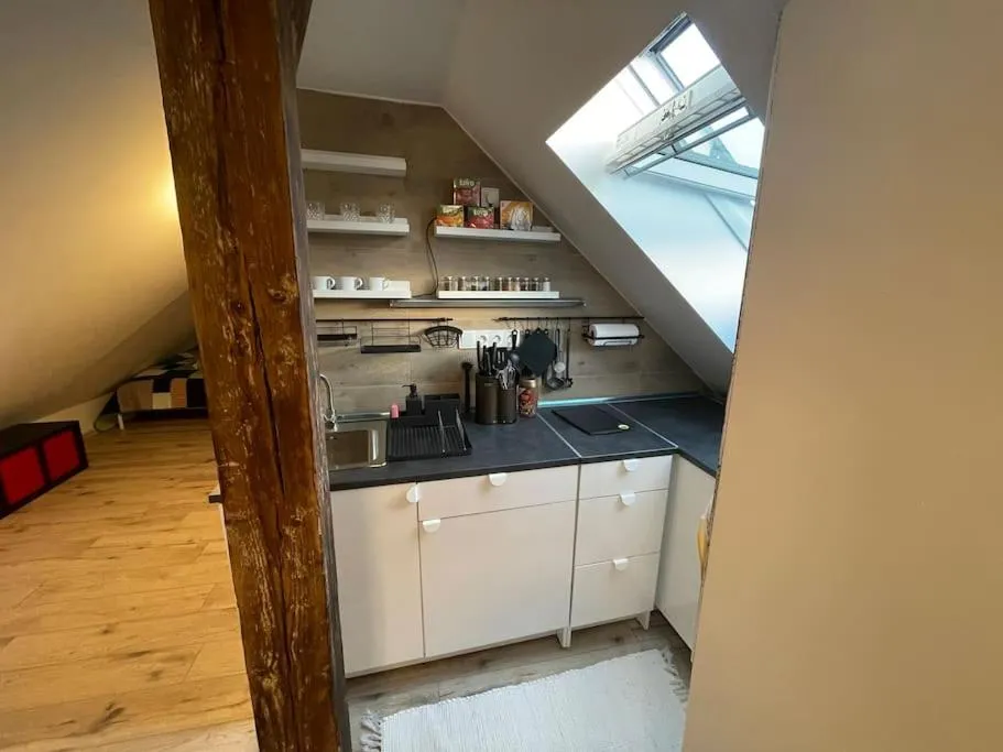 Francis Apartment 2 – Lázeňské centrum — 3