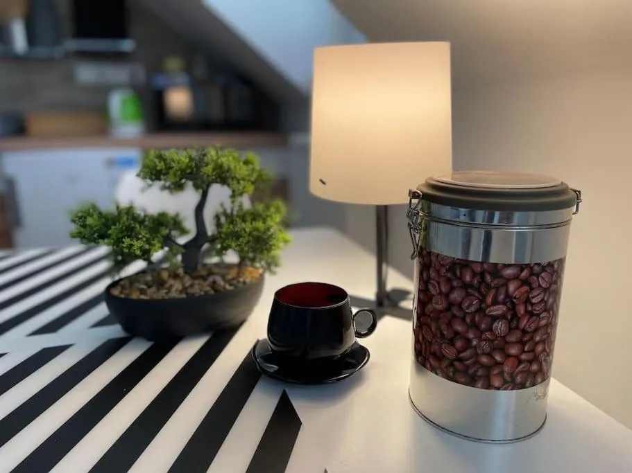 Francis Apartment – Lázeňské centrum