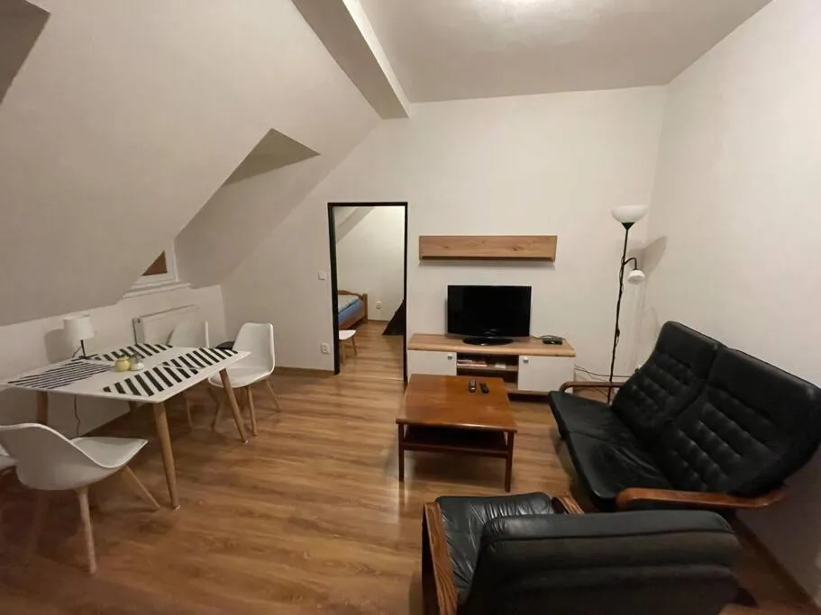 Francis Apartment – Lázeňské centrum — 5