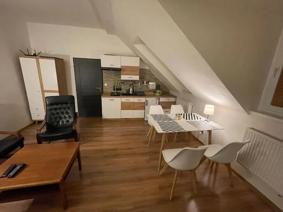 Francis Apartment – Lázeňské centrum — 3