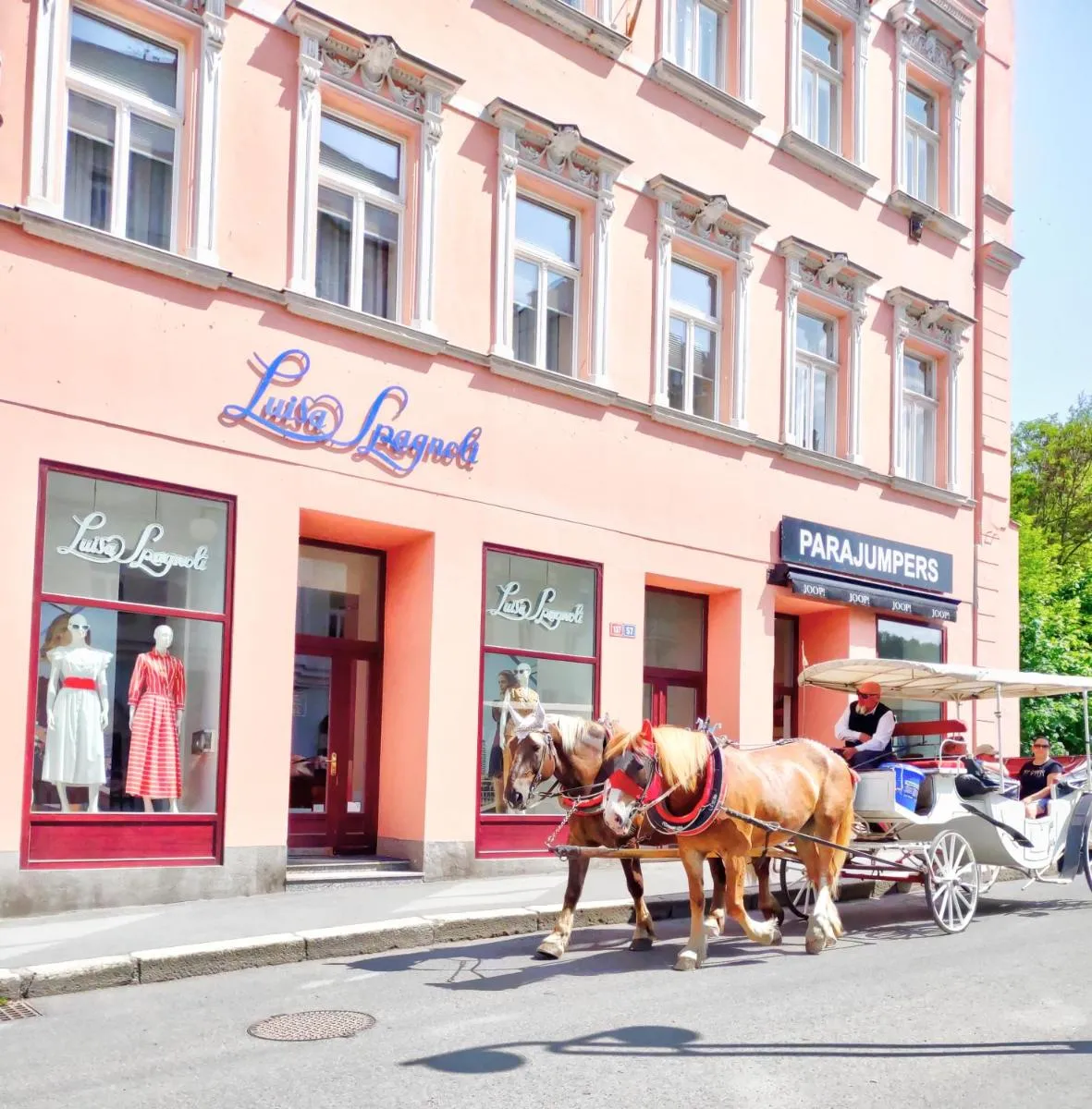 Karlsbad Family Apartment — 4