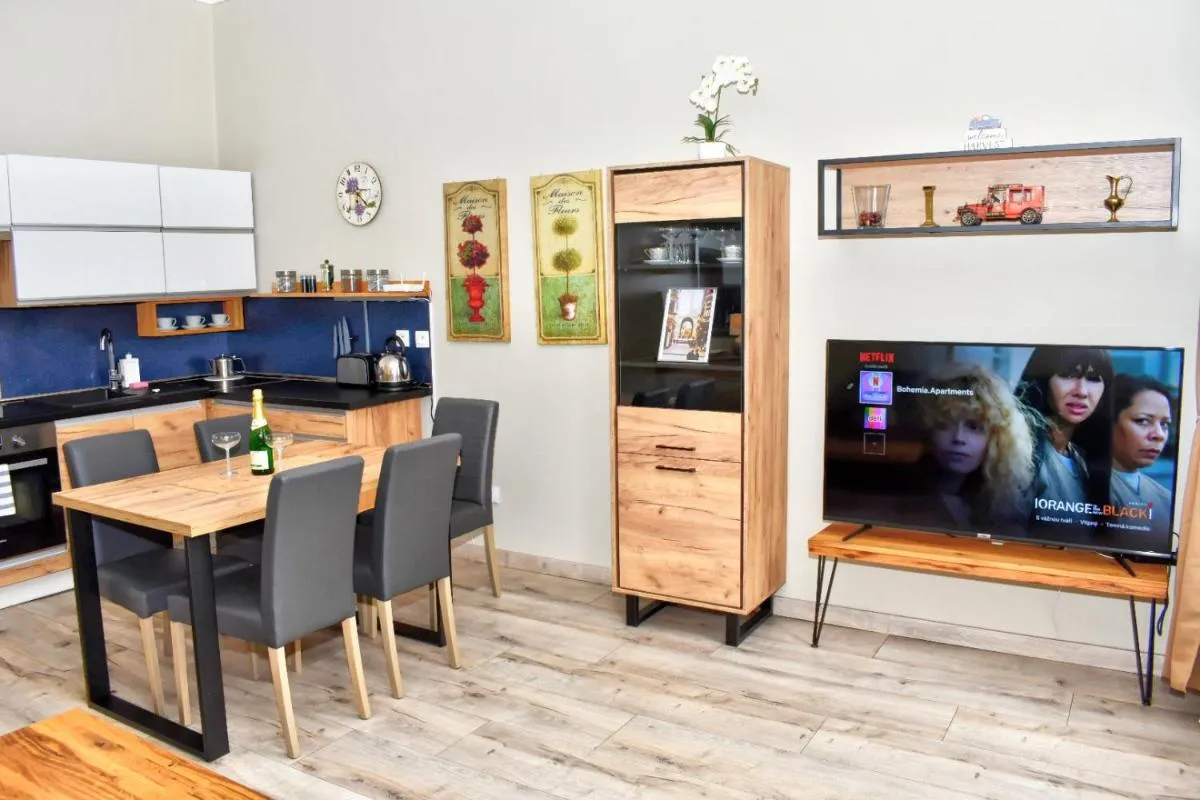 Karlsbad Family Apartment — 5