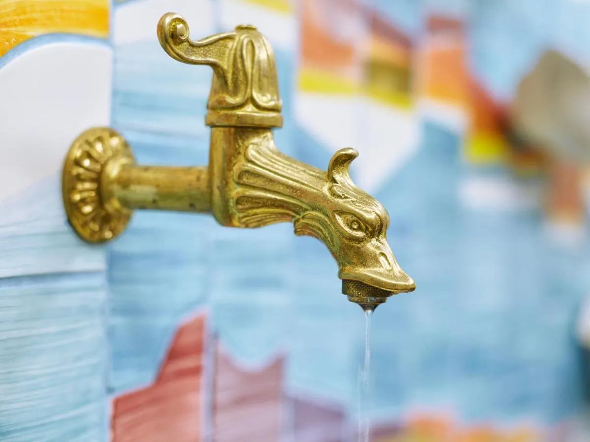 Spa Hotel Iris — 4