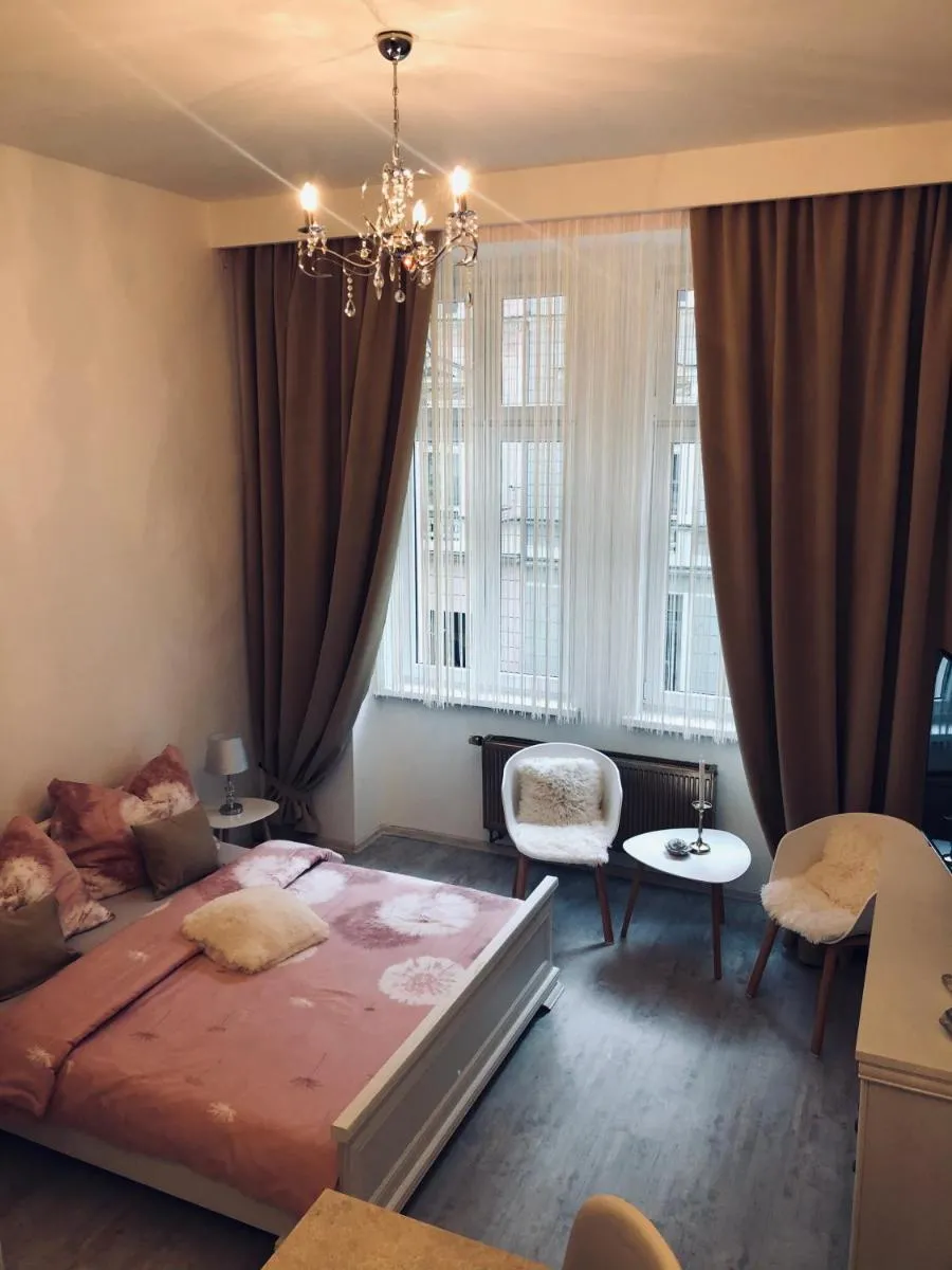 Tomas Apartments Gold — 4